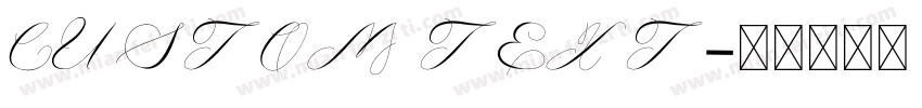 CUSTOM TEXT字体转换